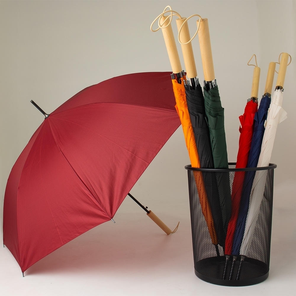 Guarda-Chuva Automático