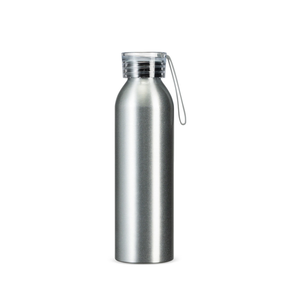 Garrafa Alumínio 650 mL